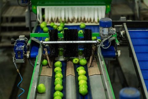 Cable Stripping Machines Insights: Manual and Automatic, Applications and Selection Factors