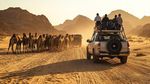 Explore Dubai Desert Safaris With Dune Experiences, Entertainment, and Adventure Insights