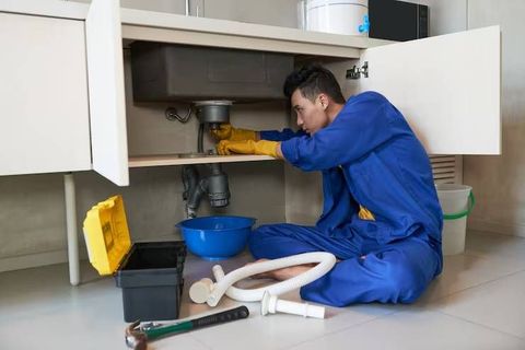 Explore Drain Cleaning and Maintenance With Clog Prevention and Plumbing Insights