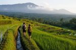 Vietnam Rice Terrace Villages Overview With Sapa, Mu Cang Chai, and Village Details