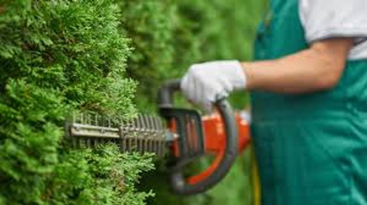 The Complete Guide to Gardening Services and Landscaping Solutions  