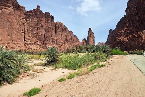 Saudi Arabia Historical Trails Guide With Archaeological Discoveries and Heritage Details