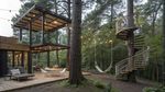 Forest-Friendly Luxury Cabins Guide With Eco-Friendly Travel, Comfort, and Forest Living