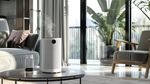 Air Purification System Information With Modern Filtration Technology and Maintenance Tips