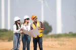 Careers in Indian Environmental Consulting: An Overview of Qualifications, Job Roles and Industry Trends