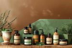 Organic Skincare Brands Guide: Natural Ingredients, Formulations, Uses and Selection Factors