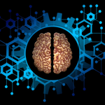 Guide to Digital Twin Simulation Models: Structure, Functions, and Setup Tips