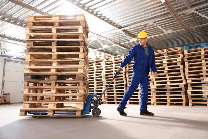 Explore Pallet Sizing Standards With Warehouse Design and Logistics Planning Details