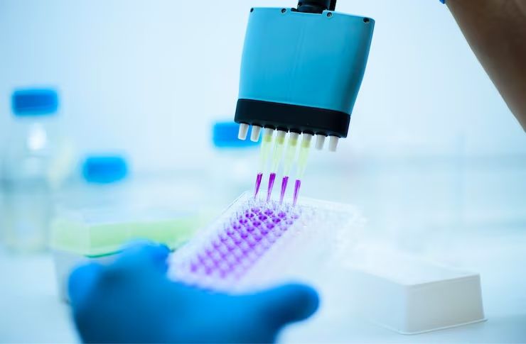 Deep Dive into ELISA Technology: Research, Analysis, and Innovations