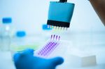 Deep Dive into ELISA Technology: Research, Analysis, and Innovations