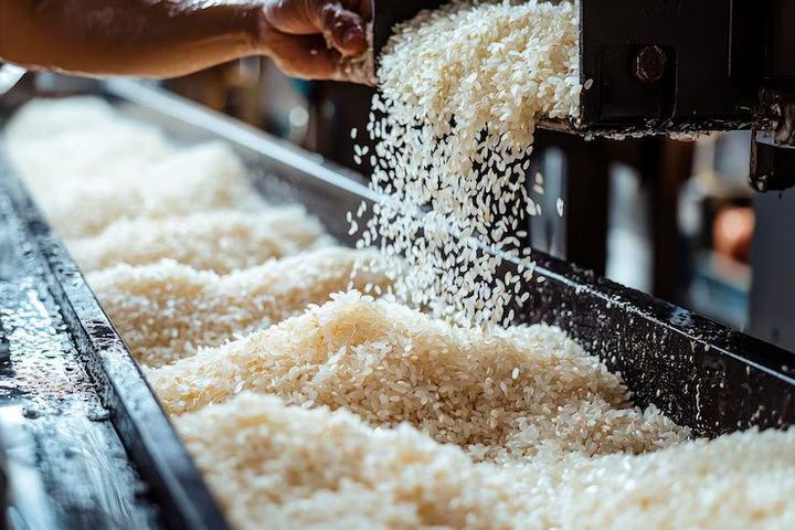 Rice Machines Details: Types, Processing Equipment, Operating Methods and Maintenance Factors