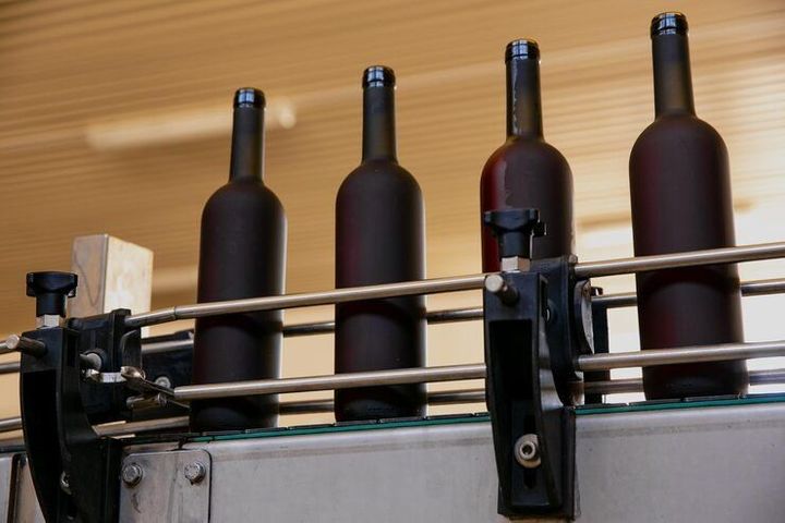 Beverage Filling Line Conveyors Guide: Designs, Working Principles, Uses and Key Considerations
