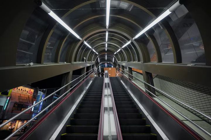 Tunnel Conveyor System Guide: Explanation, Use Cases, Safety Information, and Resources