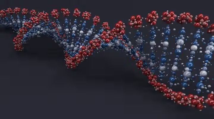 DNA Computing Principles Overview: Concepts, Methods, and Practical Information