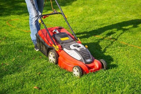 Lawn Mower Machine Overview: Mower Types, Engine Options and Maintenance Tips