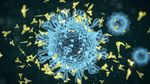 Antibody Production in the Immune System: Overview, Basics, and Key Facts