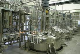 Bioreactor Basics: A Beginner’s Guide to Processes, Functions, and Uses