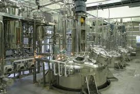 Bioreactor Basics: A Beginner’s Guide to Processes, Functions, and Uses