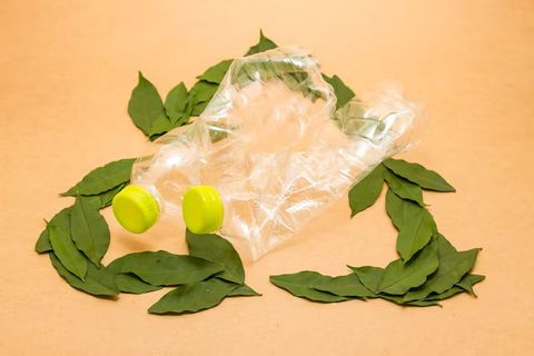 How to Choose the Perfect Domain for Your Website 2025 Guide