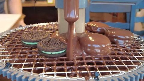 Guide to Bioreactor Systems: Disposable, Pharmaceutical, and Energy Applications