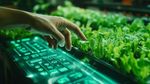 Urban Smart Farming Guide: Systems, Growing Techniques, Applications and Essential Features