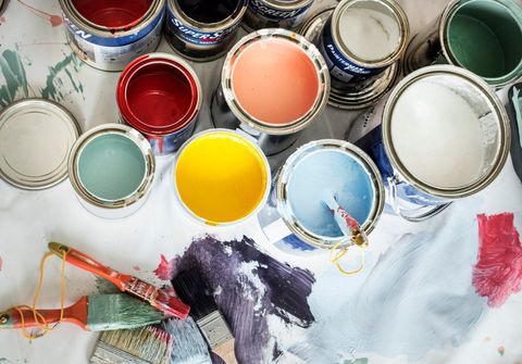 Eco-Friendly Paints Insights: Modern Trends in Low-Impact Interior and Exterior Finishes