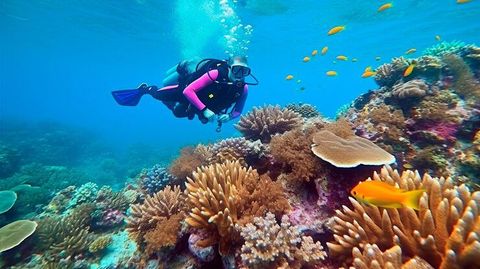 Private Island Resorts Explained With Privacy, Accommodation, and Travel Details