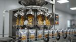 Food Extruder Machines Basics With Ingredients, Processing Stages, and Production Insights