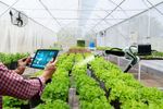 Smart Farming Tips for Using Sensors, Data Analytics, Automation, and Precision Tools