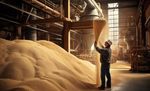 Automated Seed Processing Equipment Explained: Types, Functions, Benefits and Applications