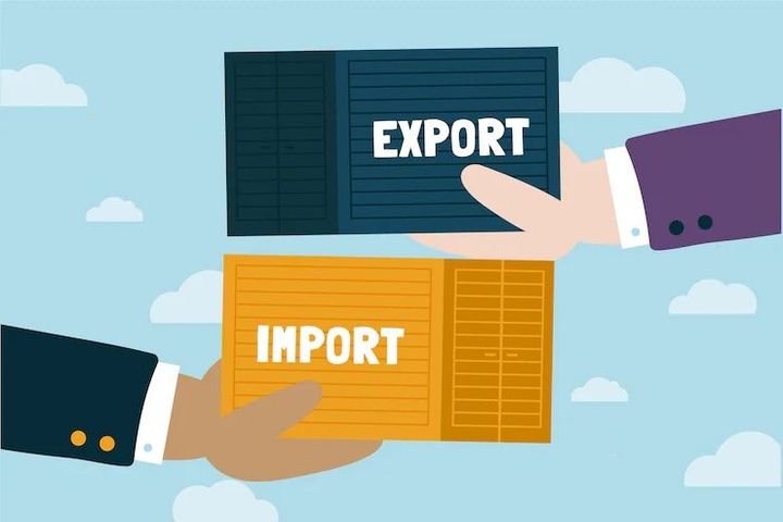 Import Export Business Overview: Trading Procedures, Market Research, Logistics and Documentation