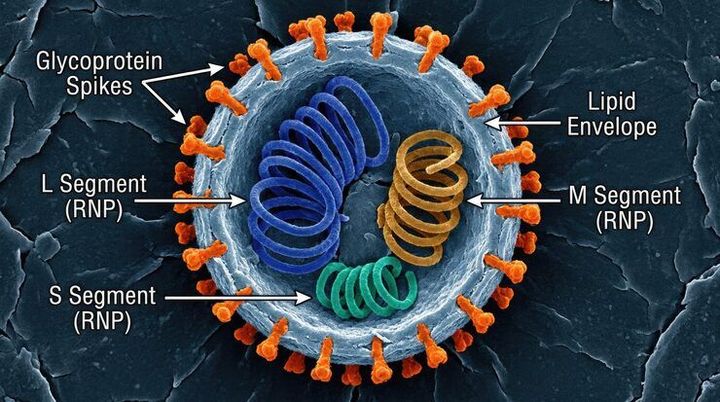 Cell Production Steps Guide: Preparation, Assembly, Testing, Quality Checks and Final Processes